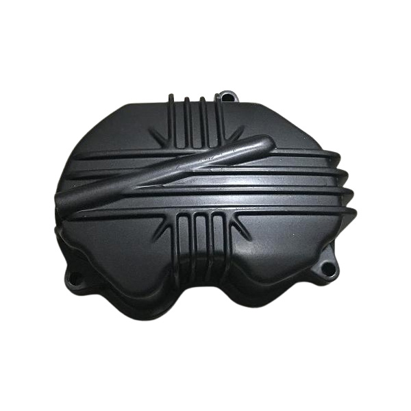 Outdoor Lamp Case